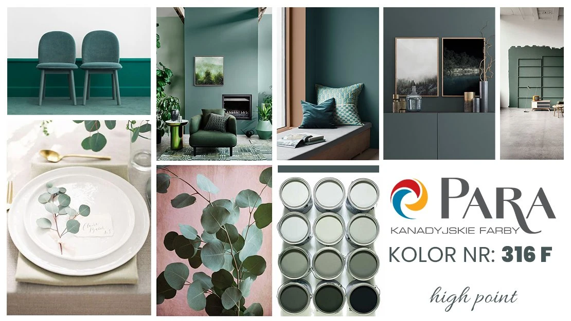 Kanadyjskie Farby Para Paints ogłaszają kolor stycznia 2020! 
