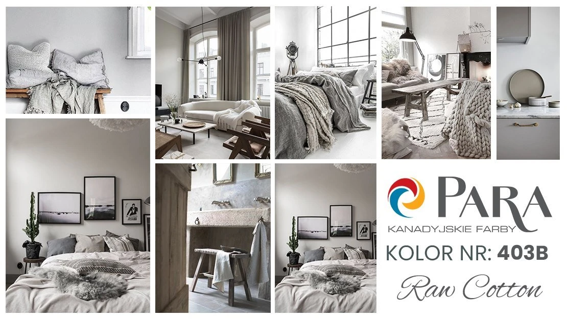 Znamy kolor lutego 2020 według Para Paints!
