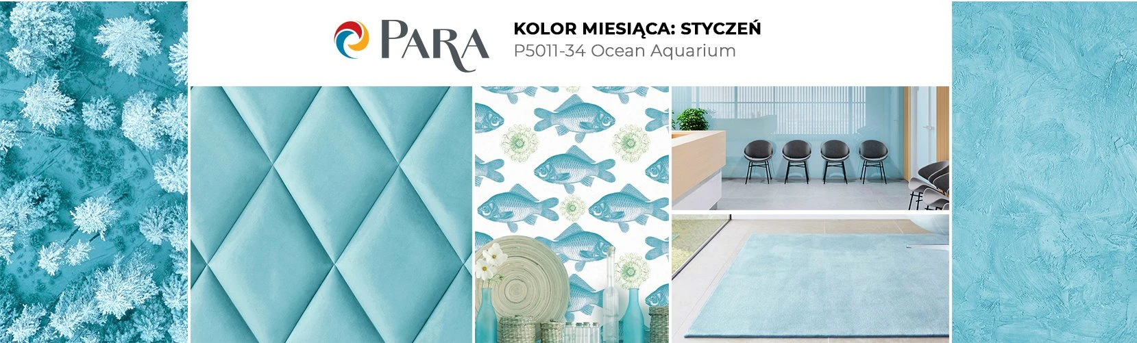 Kolor farb PARA na styczeń już wybrany