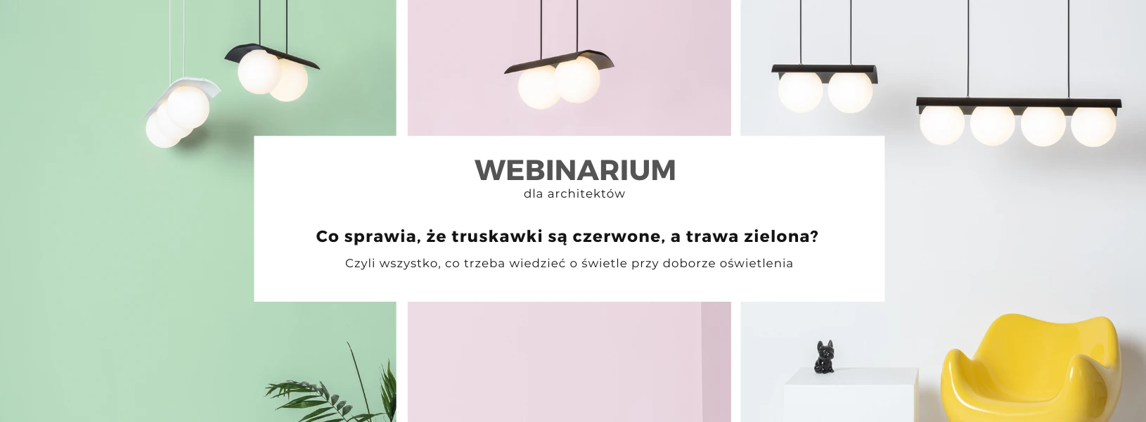 Co sprawia, że truskawki są czerwone a trawa zielona? 