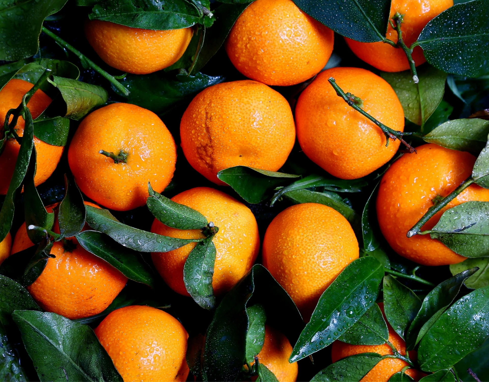 Aidans Orange 131E: Kolor miesiąca PARA według Marty Kożuch