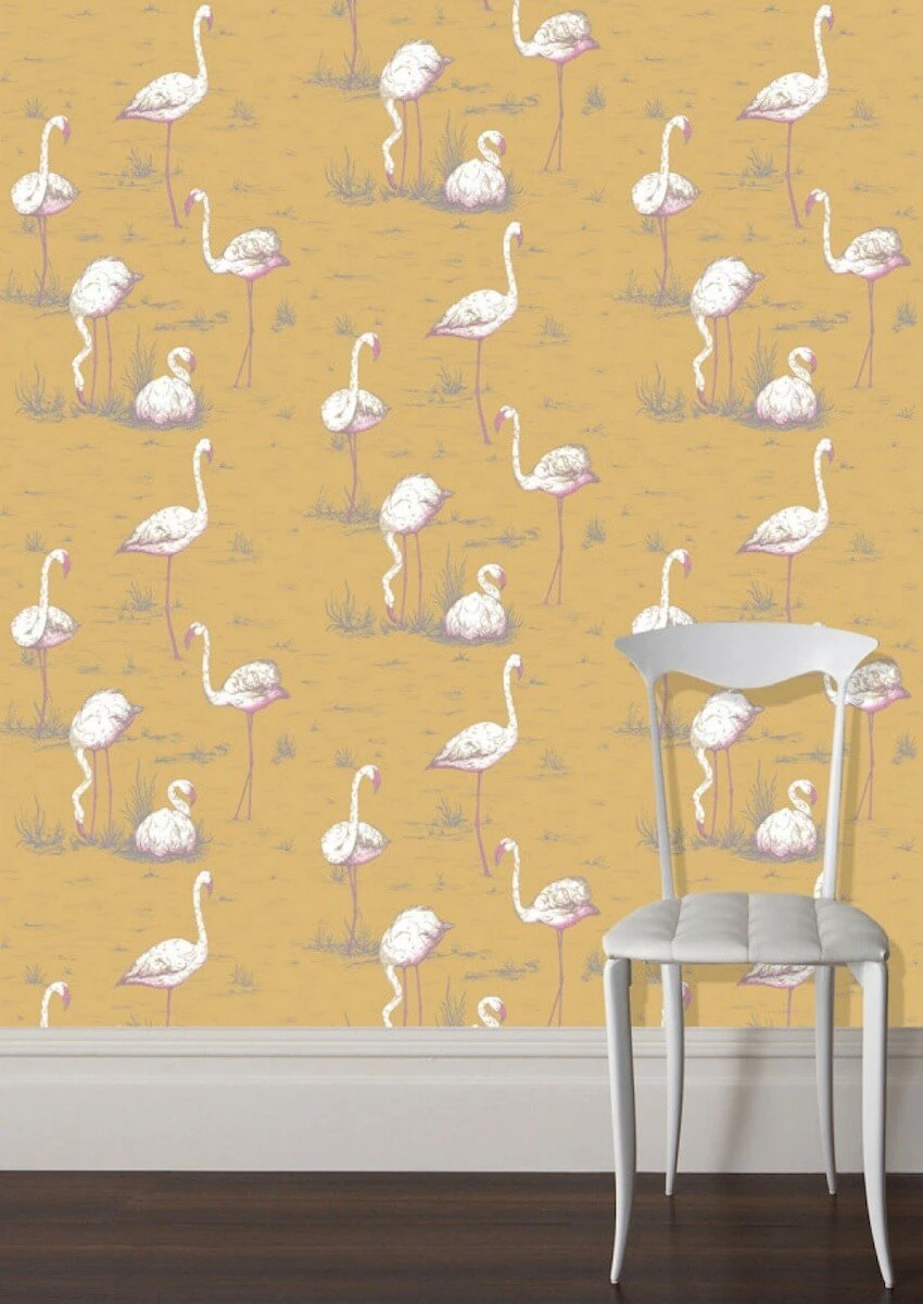 Flamingi 