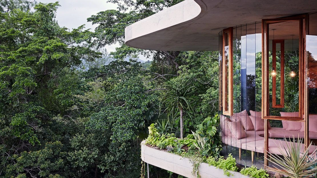 Planchonella House czyli życie w zgodzie z naturą