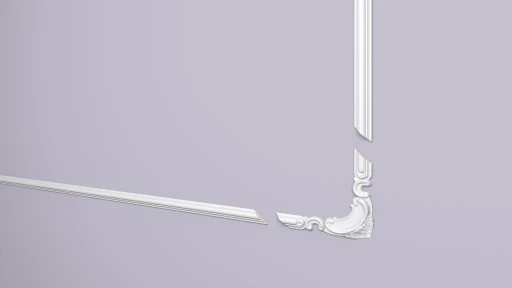 NMC Z101