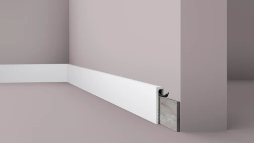 NMC CF2S