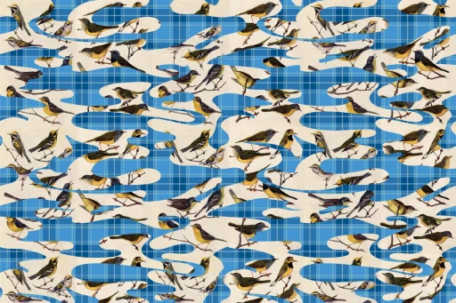 Glamora Camotartan Birds