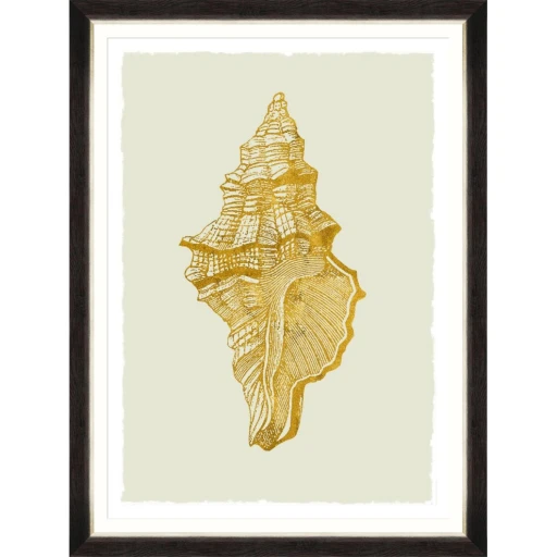 Golden Seashell 