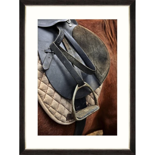 Equitation 
