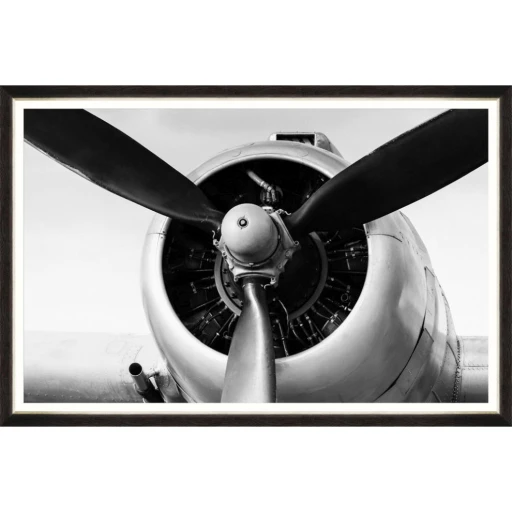 Propeller Head 