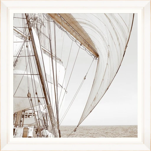 Sailing High