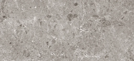 Coverlam Artic Gris