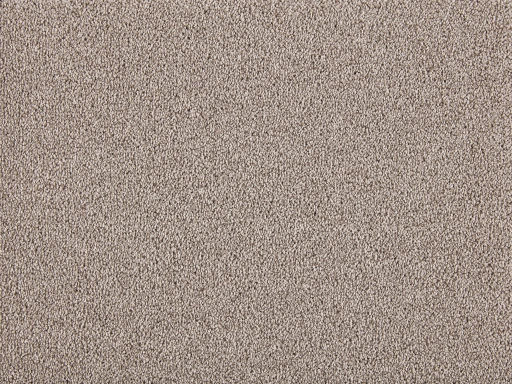 Epic Carpets Ursa Griseo 0253