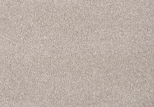 Epic Carpets Ursa Griseo 0250