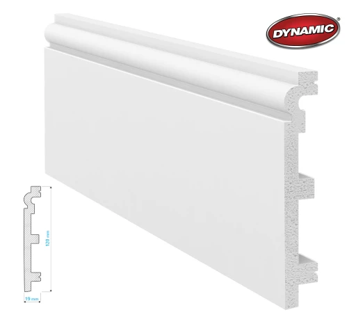 Dynamic F19120