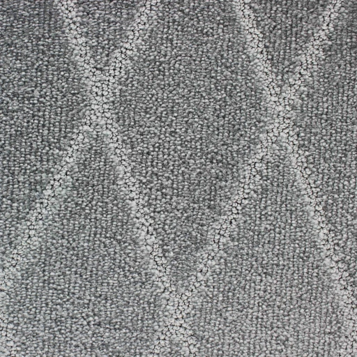 Epic Carpets Comfort 119 Pumice