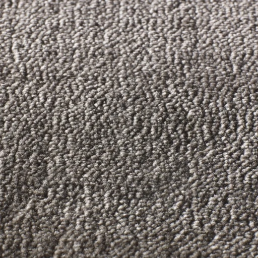 Jacaranda Rajgarh Gunmetal