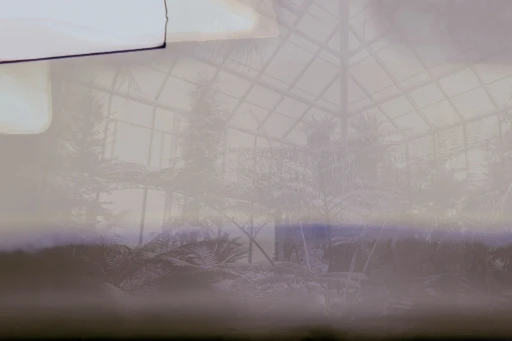 Glamora XII Greenhouse 