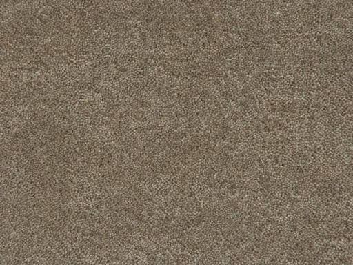 Epic Carpets Winner