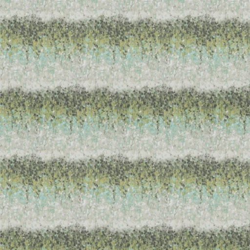 Vadain Weeping Willow 320