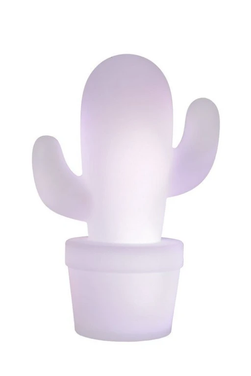 CACTUS 13813/02/31