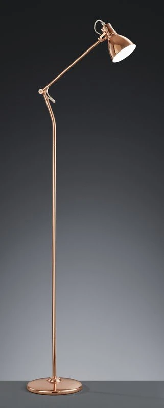 JASPER 400500109