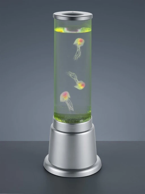 JELLY R50701187