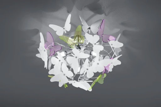 BUTTERFLY R60213017