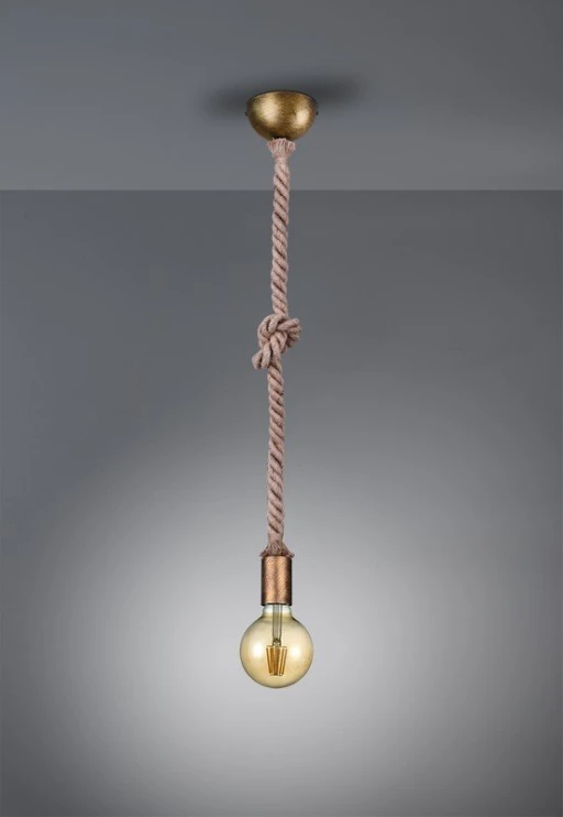 ROPE 310100104