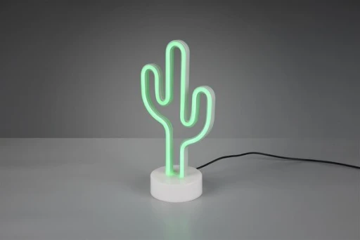 CACTUS R55220101