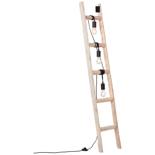 LADDER 93152/76