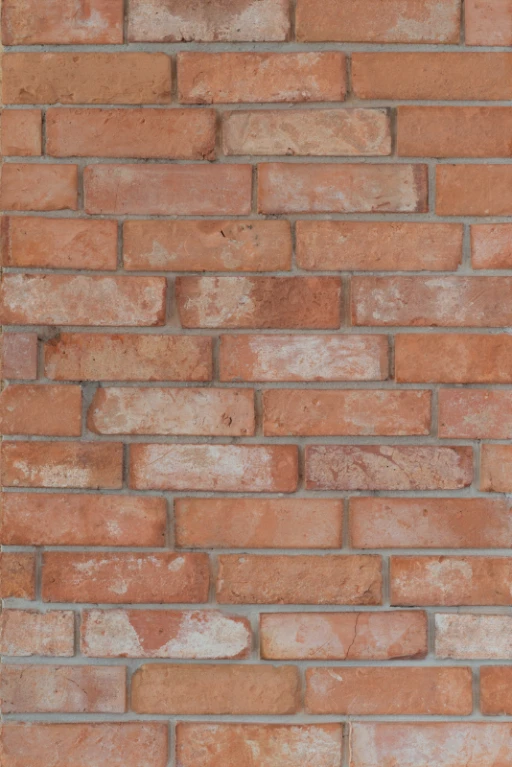 DekoBrick Autentic Lico toruńskie