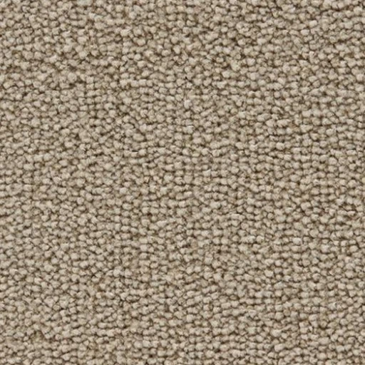 Epic Carpets Ashe 132 Shark