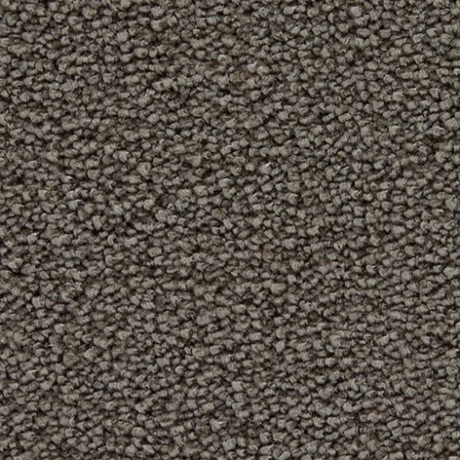 Epic Carpets Ashe 143 Loam
