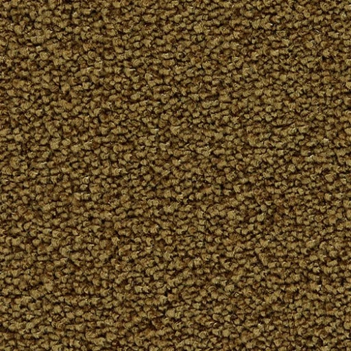 Epic Carpets Ashe 153 Lion