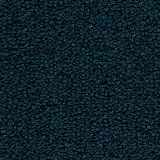 Epic Carpets Ashe 181 Parrotifish