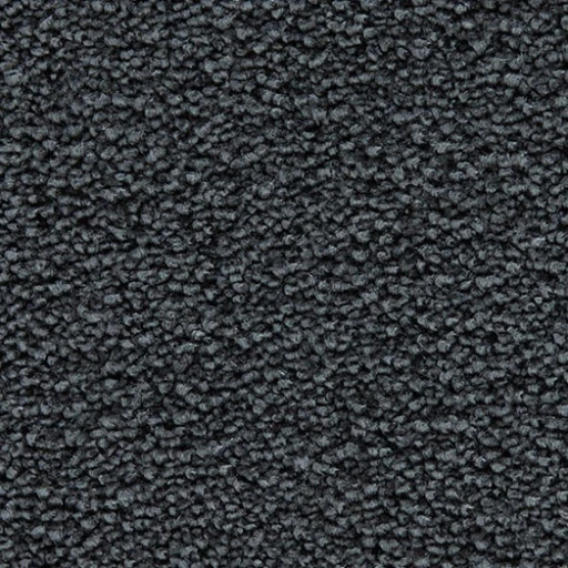 Epic Carpets Ashe 189 Rhinoceros