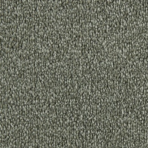 Epic Carpets Ada Style 480 Barley
