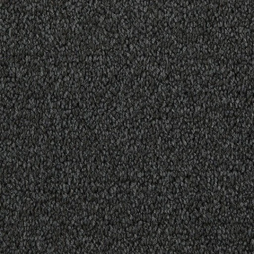 Epic Carpets Ada Style 830 Ash