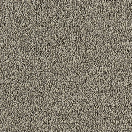Epic Carpets Ada Style 860 Granite