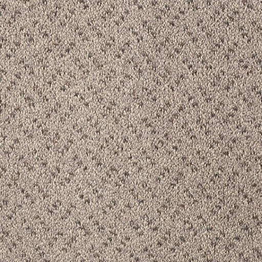 Epic Carpets Ada Classic 860 Granite