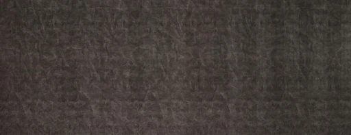 Mata dekoracyjna SIBU LL Leguan Nero Antigrav
