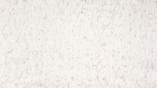 Silestone Nebula Alpha  White Arabesque