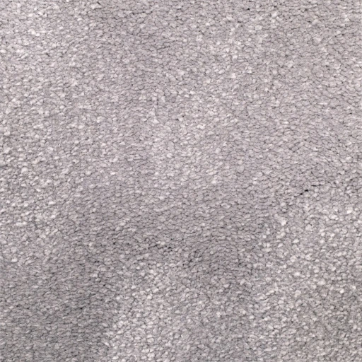 Van Besouw 2611 620