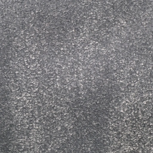 Van Besouw 2611 630