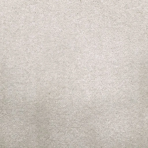 Van Besouw 2613 050