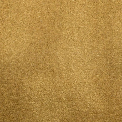 Van Besouw 2613 190