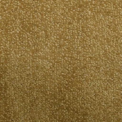 Van Besouw 2614 170