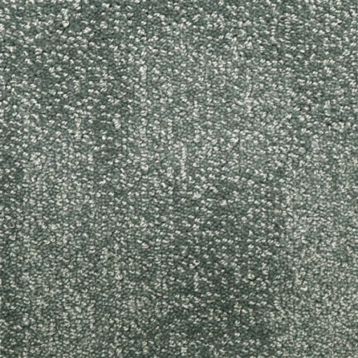 Van Besouw 2614 450