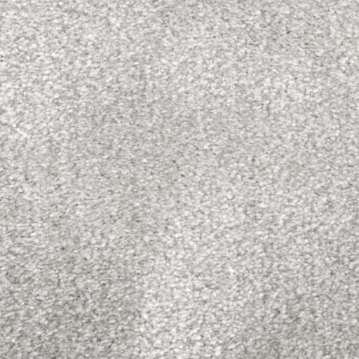 Van Besouw 2615 040