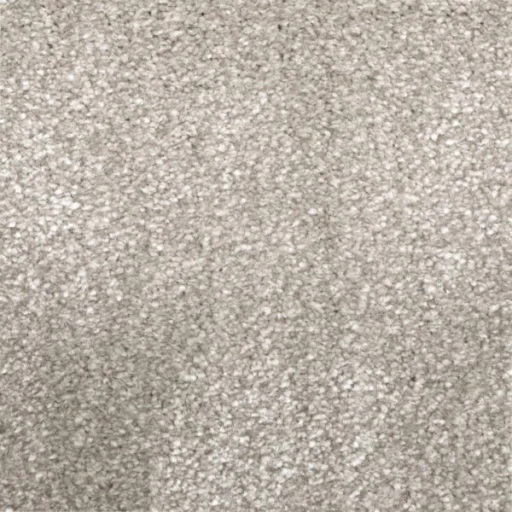 Van Besouw 2615 070
